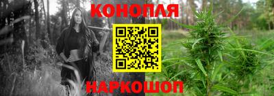 шишки Нягань