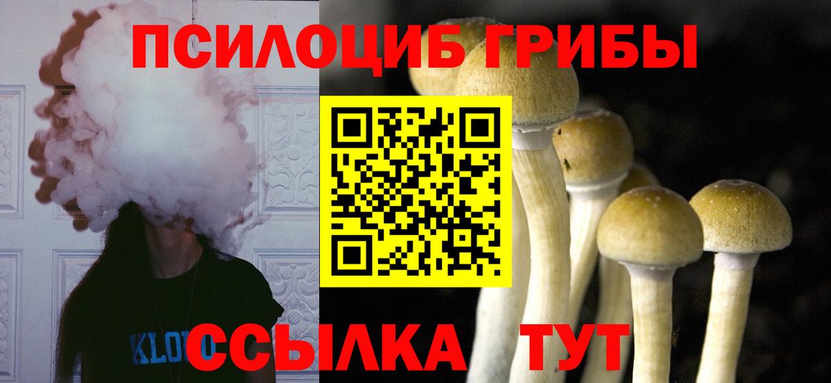 Галлюциногенные грибы прущие грибы Павлово